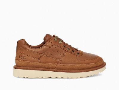 UGG Highland Sport Hiker Low Boots for Mens - Chestnut/Brown India